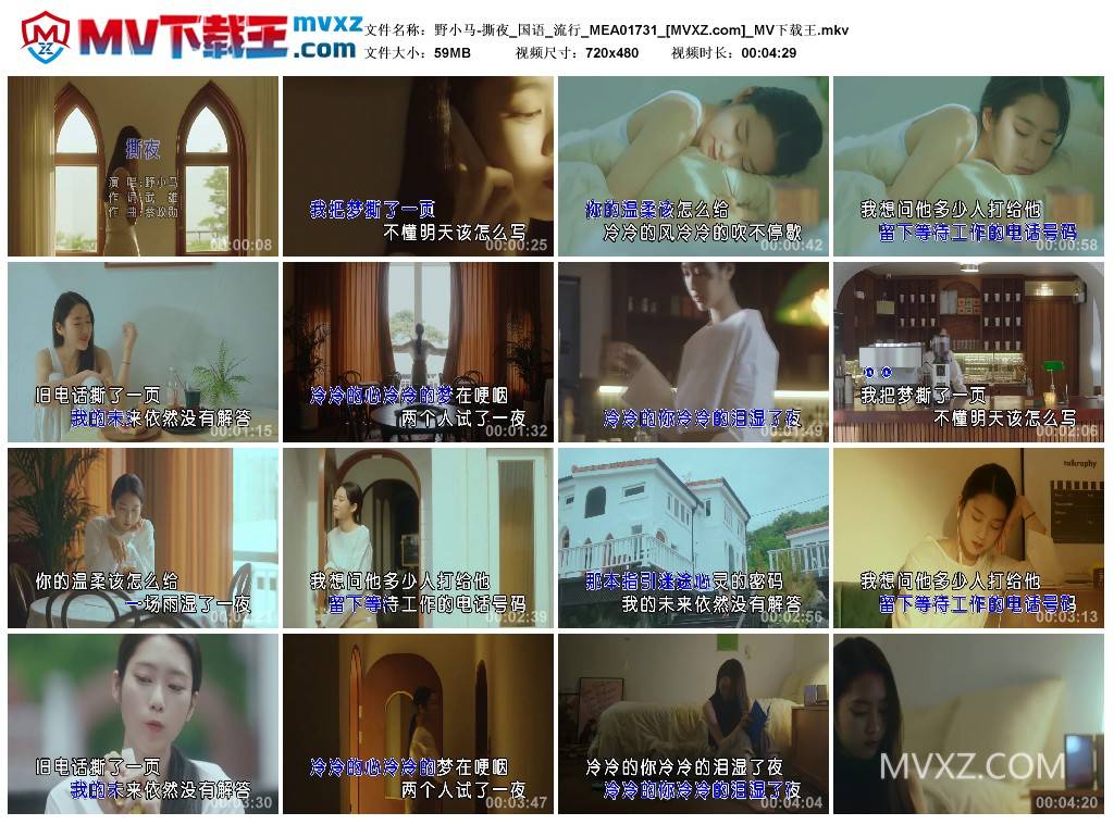 野小马-撕夜_国语_流行_MEA01731